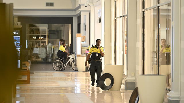 10 shot in shopping mall in US state of South Carolina 