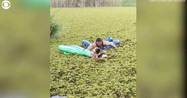Strangers use inflatable pool toys to rescue dog from overgrown lake