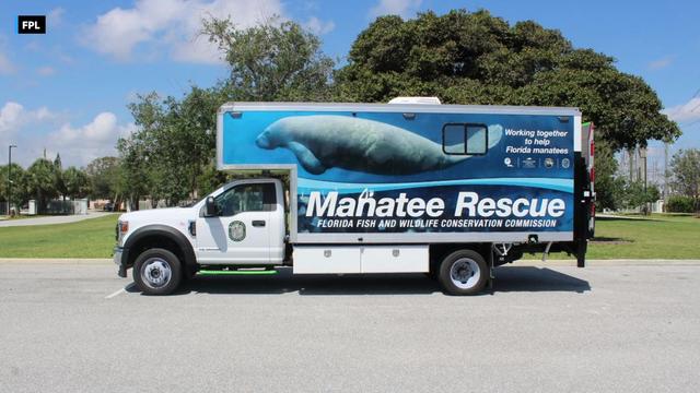 Manatee-Rescue-Truck-pics.jpg 