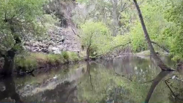 Los-Gatos-Creek.jpg 