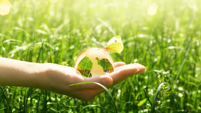 Earth glass globe and buttrfly with yellow wings in human hand on grass background. Saving environment and clean green planet concept. 