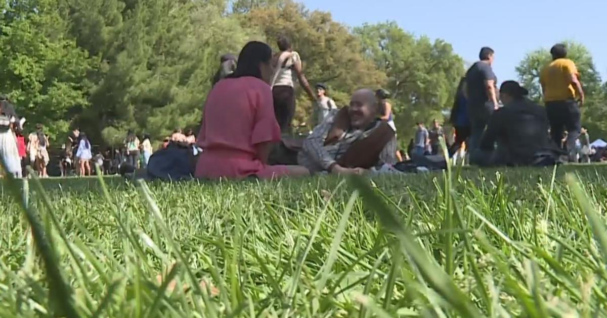 'Nothing Like It' Thousands Celebrate UC Davis Picnic Day Tradition