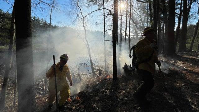 croppedWESTFORD-BRUSH-FIRES-2-CREDIT-WESTFORD-FD.jpg 