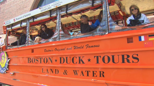 service-dogs-on-duck-boats-vo_frame_520.jpeg 