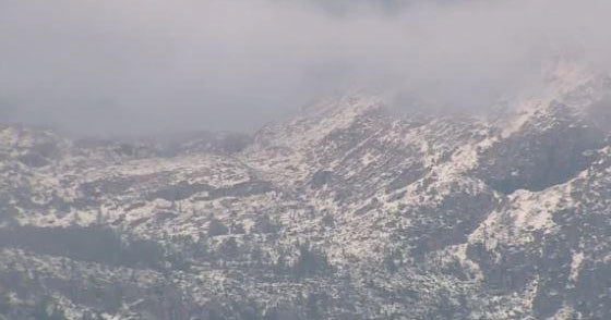 Woman survives being stranded in California forest for 6 days by eating