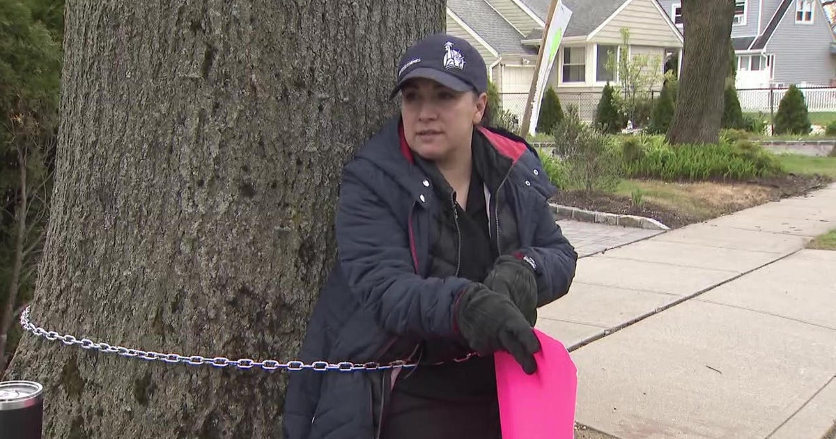 Long Island woman chains herself to 80yearold Oak tree in attempt to sway village's decision