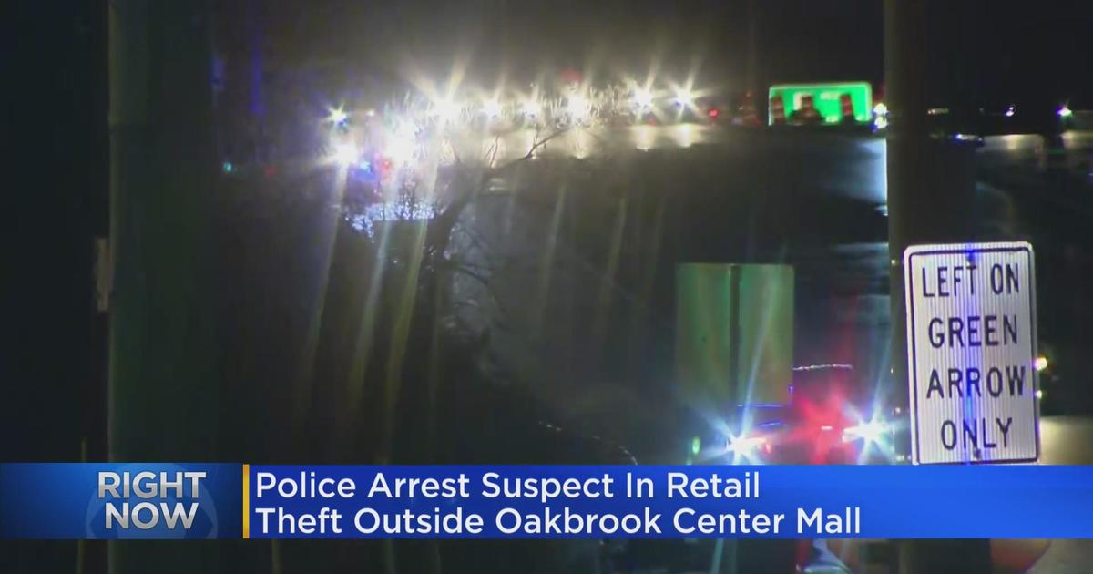 Oak Brook police round up 5 people in 1 day for retail theft, disorderly  conduct at area shopping malls