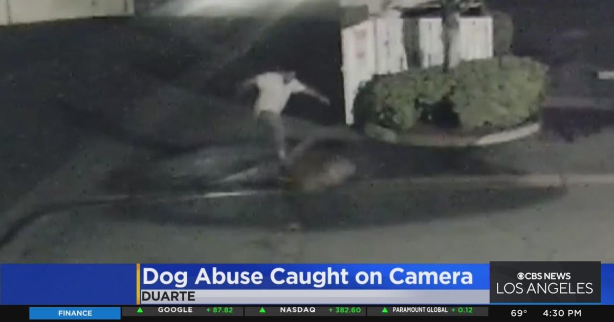 Search underway for man seen beating dog in Duarte over weekend CBS