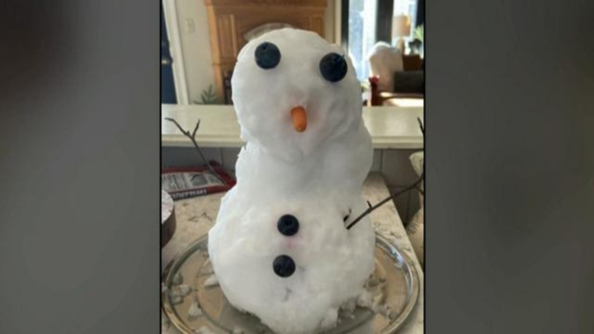 Melting Snowman  She starts with a styrofoam ball. The end result