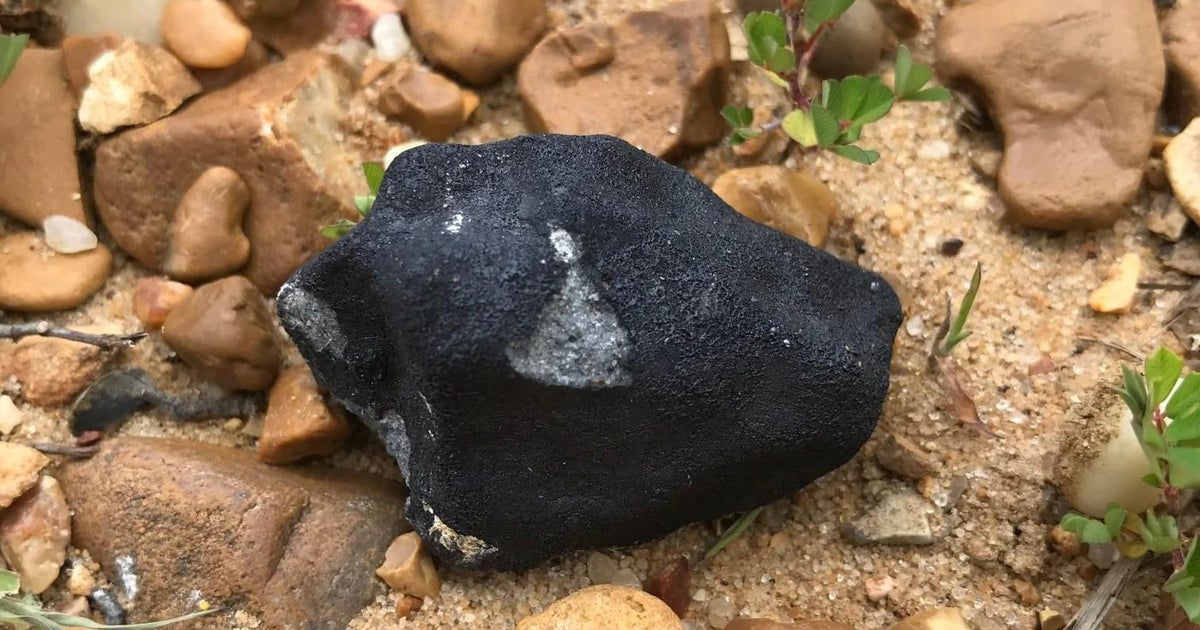 Pieces of 