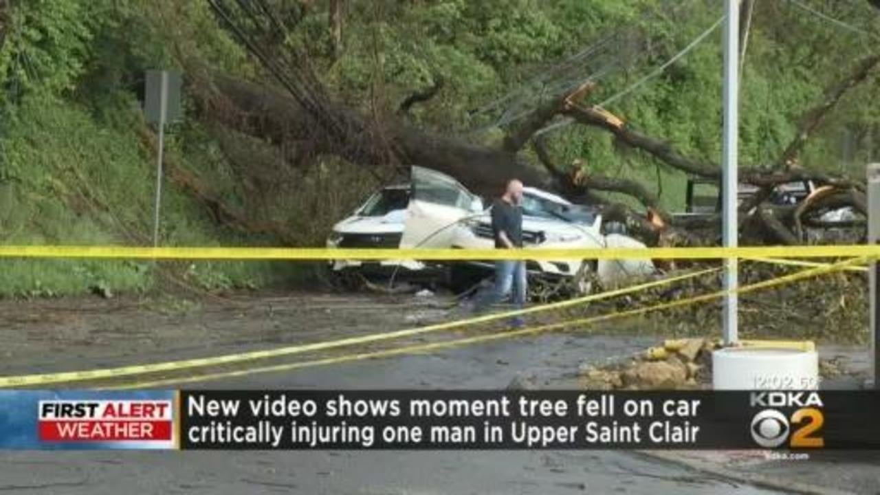 Upper St Clair Christmas Tour 2022 New Video Shows Moment Tree Fell On Car Critically Injuring One Man In Upper  St. Clair - Cbs Pittsburgh