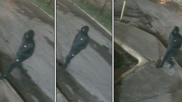 Dallas police looking to identify murder suspect 