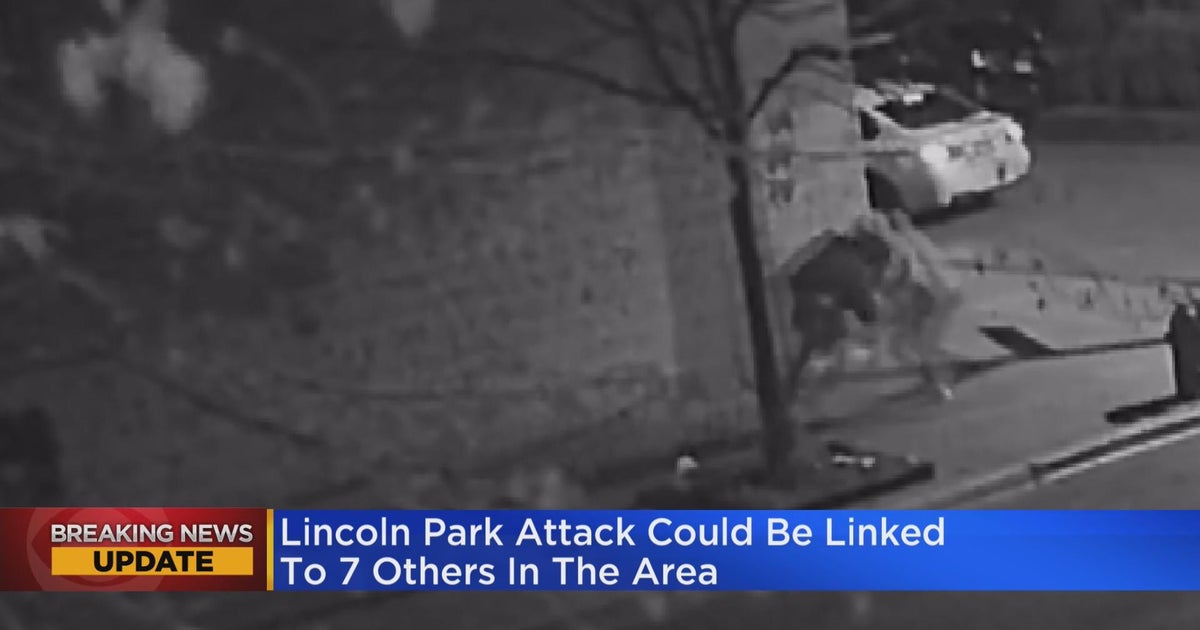Lincoln Park attack could be linked to seven others within 48 hours