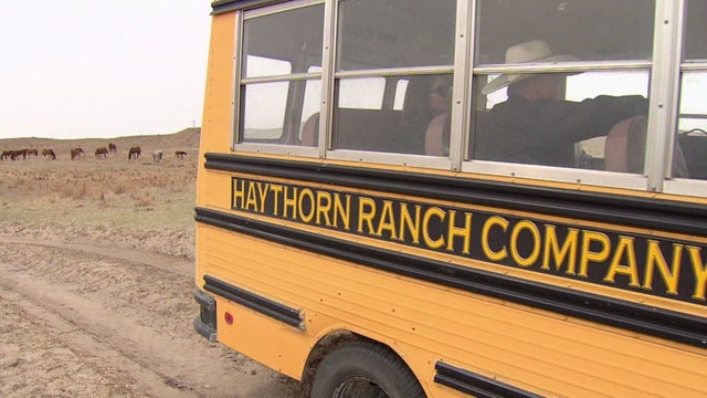 NEBRASKA 10PM PKG.transfer_frame_898 