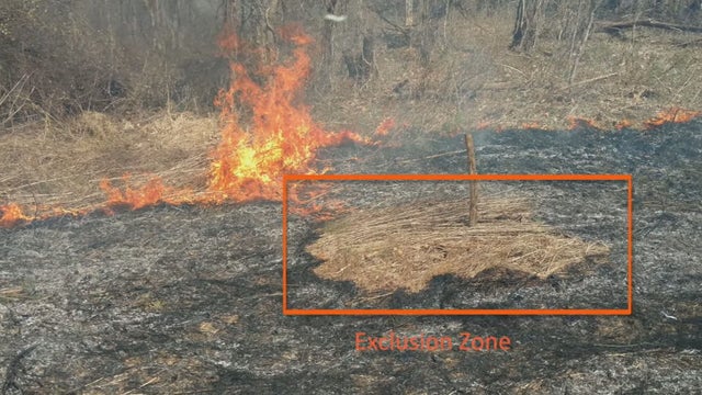 BUY YOUR OWN SLURRY 6PKG.transfer_frame_2260 