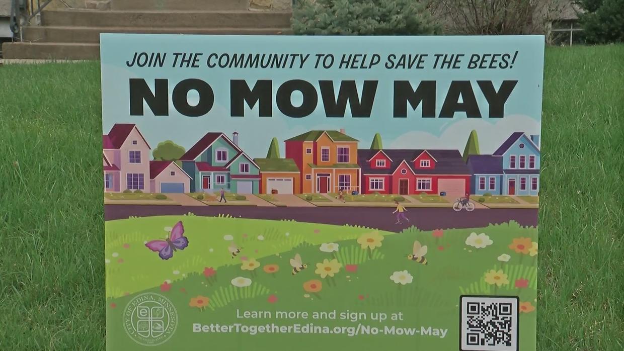 What's The Purpose Of The 'No Mow May' Movement? CBS Minnesota