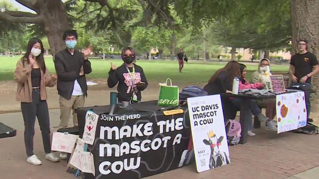 uc-davis-mascot-change.jpg 