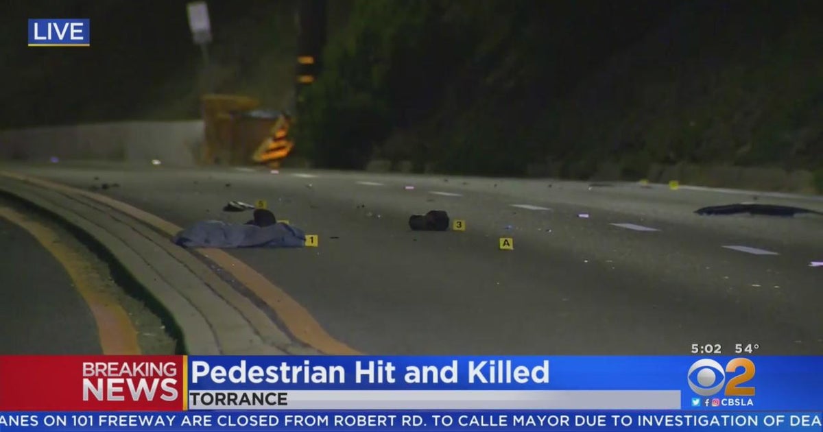 Pedestrian killed on PCH in Torrance - CBS Los Angeles