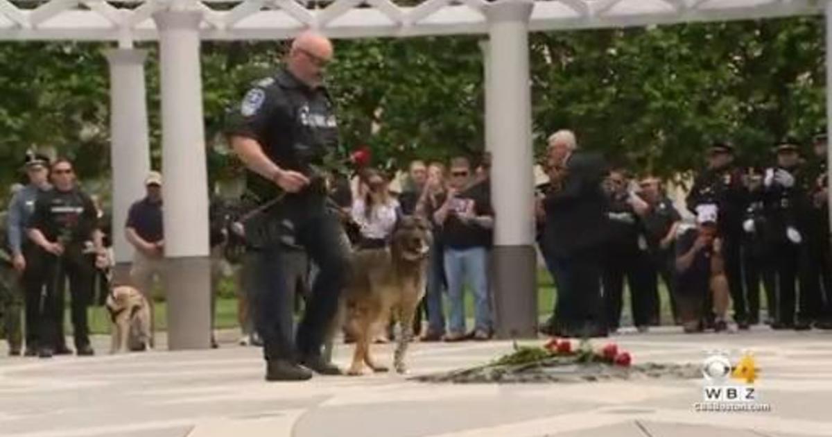 Officers Honor K9s Who Died In The Line Of Duty In Ceremony In ...