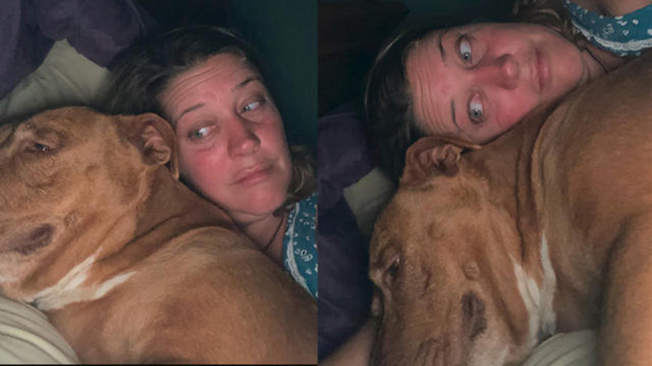 A strange dog mysteriously ended up in bed with a couple - CBS News