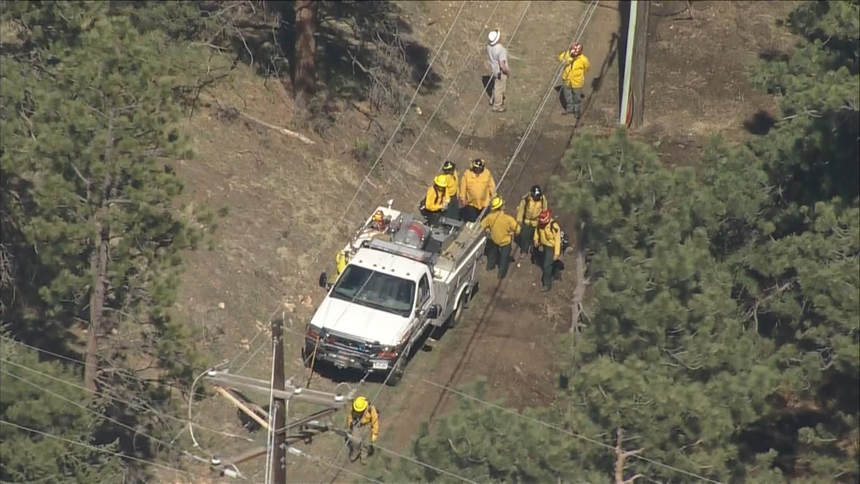 Small Wildfire Burning In Evergreen Quickly Brought Under Control CBS