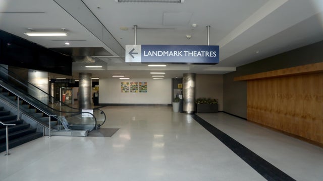 Pico Project - how have businesses fared  during the Coronavirus pandemic 