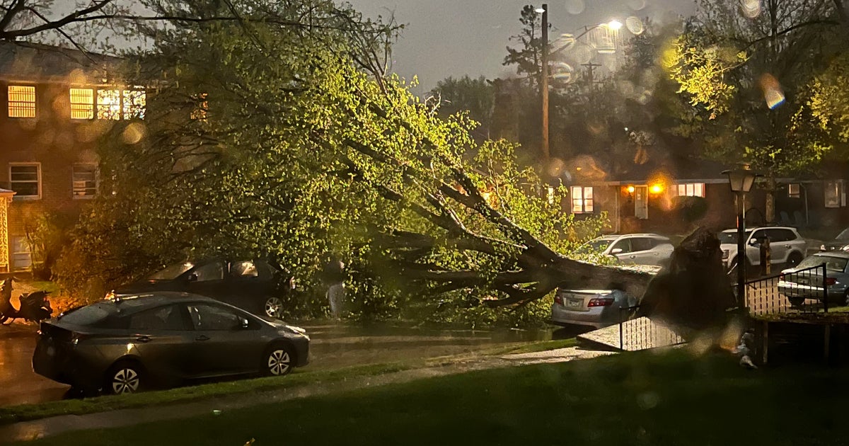 Severe Thunderstorms Roll Through Twin Cities Metro, Bringing High ...
