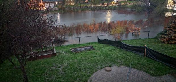 Flooded backyard in Montrose 