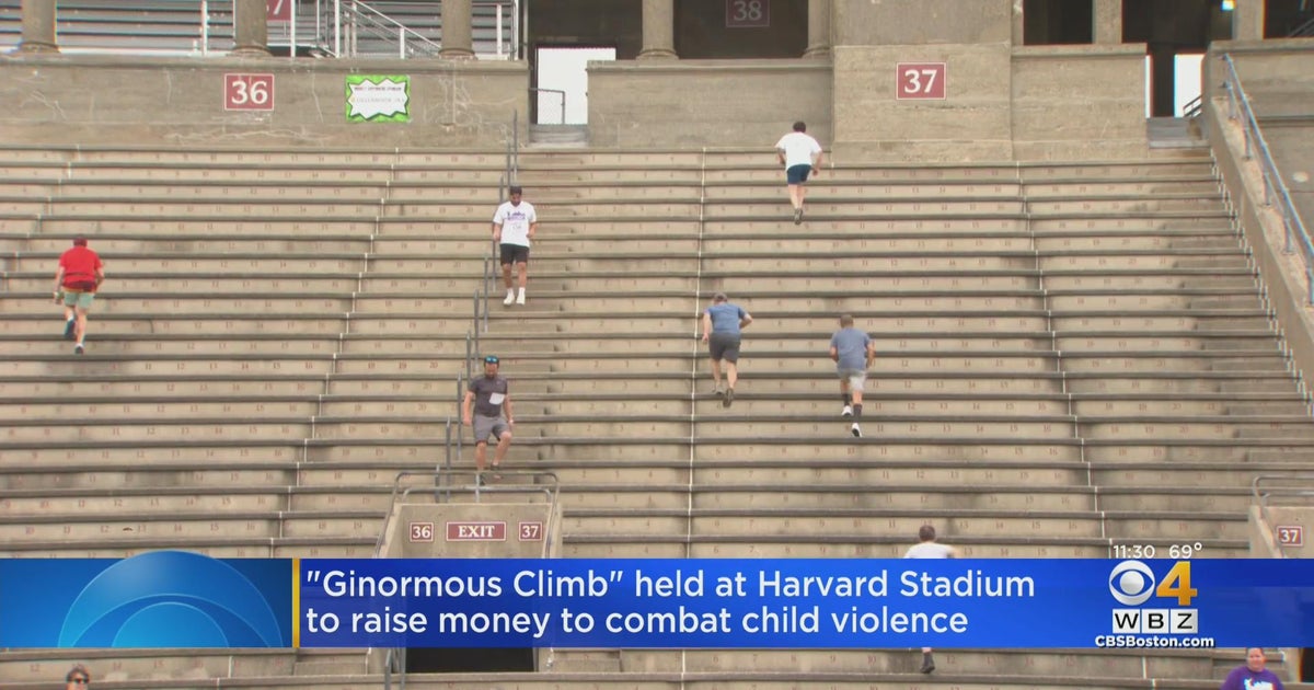'Ginormous Climb' held at Harvard Stadium - CBS Boston