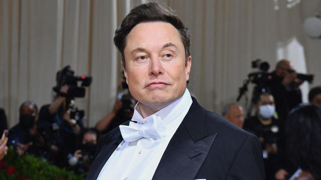 Elon Musk had twins last year with one of his top executives, report says
