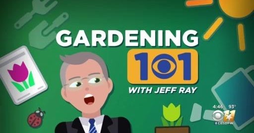 Gardening 101 shrub replacement ideas CBS Texas