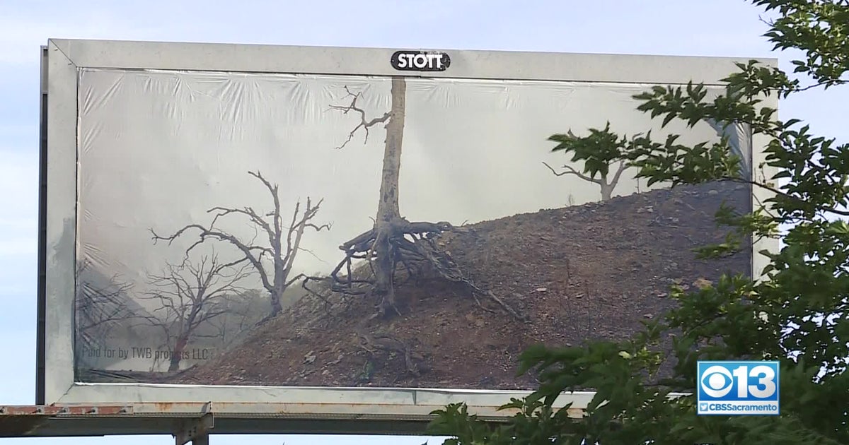 'We're Really Facing A Catastrophe' Bay Area Artist's Billboards In