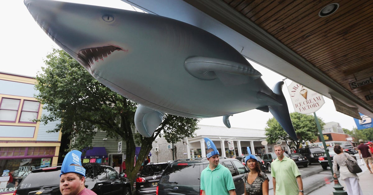 Boy from "Jaws" police chief on Martha's Vineyard CBS Boston