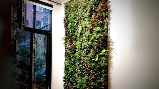 living-wall-1280.jpg 