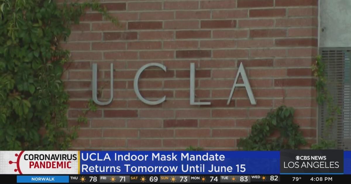 UCLA Reinstates Indoor Mask Policy As COVID-19 Cases Rise Throughout L ...