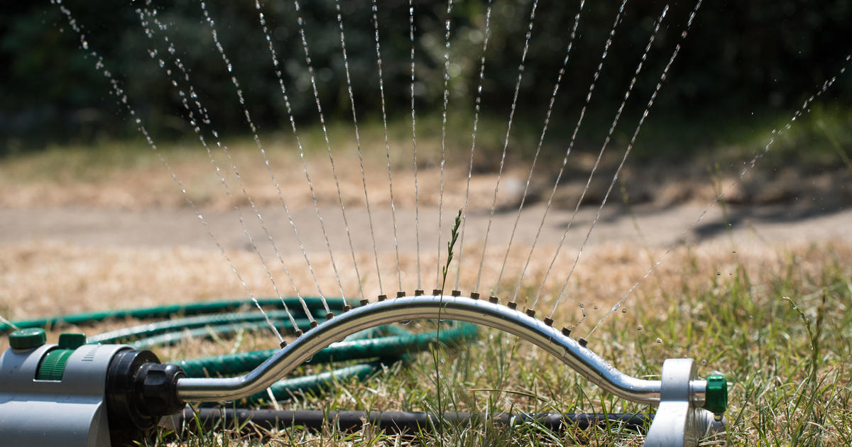 Watering restrictions go into effect throughout Los Angeles CBS Los