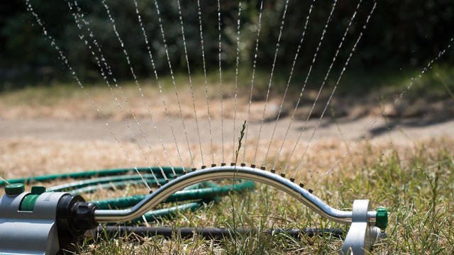 Hosepipe Ban Looms In Drought-hit Britain 