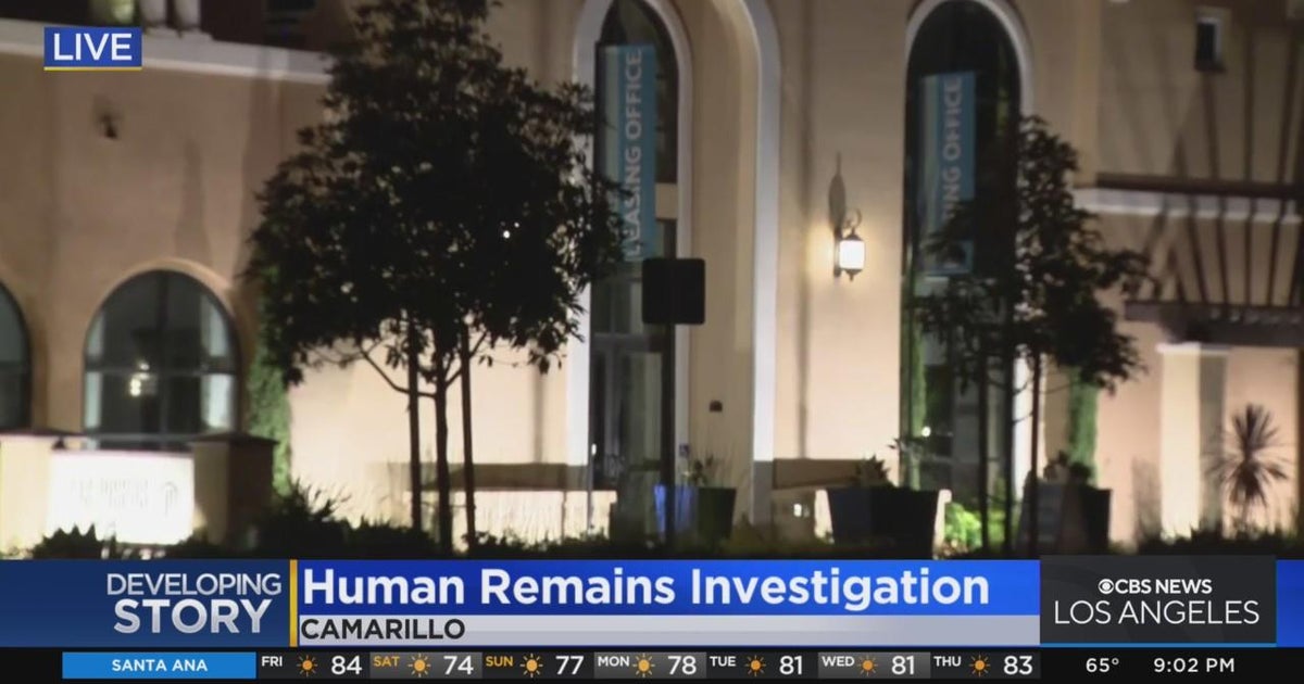 Police investigate possible homicide after remains are found outside a