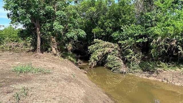 Police lights at night 