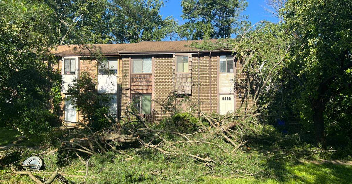 Storms Leave Trail Of Damage In Howard & Baltimore Counties - CBS Baltimore