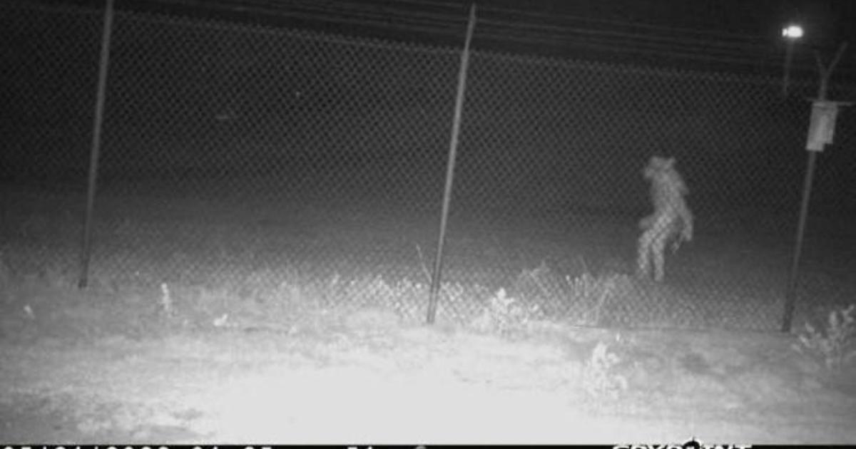 What is this "strange" creature seen outside a Texas zoo? The city of Amarillo wants to know.
