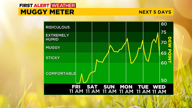 muggy-meter.png 