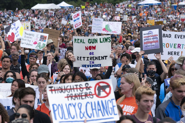 Gun Control Rally 