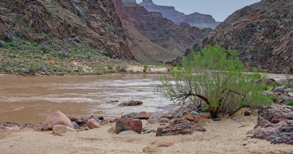 Woman falls into Colorado River at Grand Canyon, dies after getting swept away by rapid currents