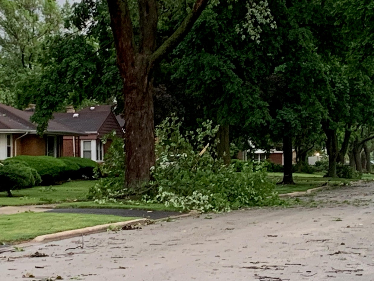 Severe storms bring down trees, damage buildings, knock out power to ...