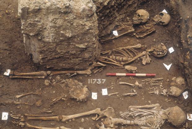 The Excavation Of The Black Death Cemetery At The Royal Mint Site 