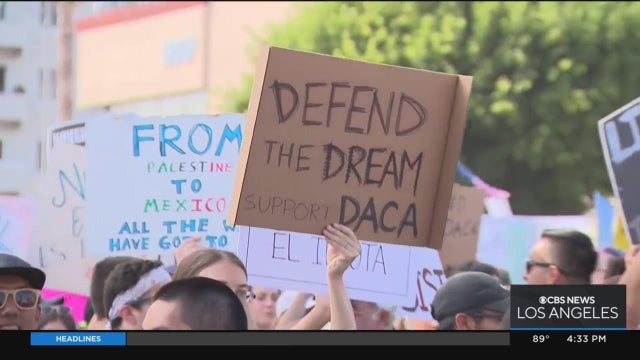daca-anniversary.jpg 