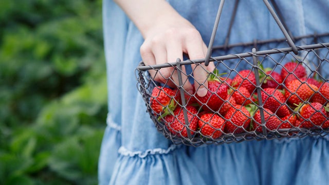 Girl holding basket of freshly picked strawberries 