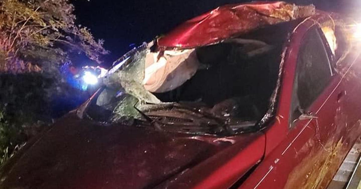 Car hits moose in Oakham, causing serious injuries CBS Boston