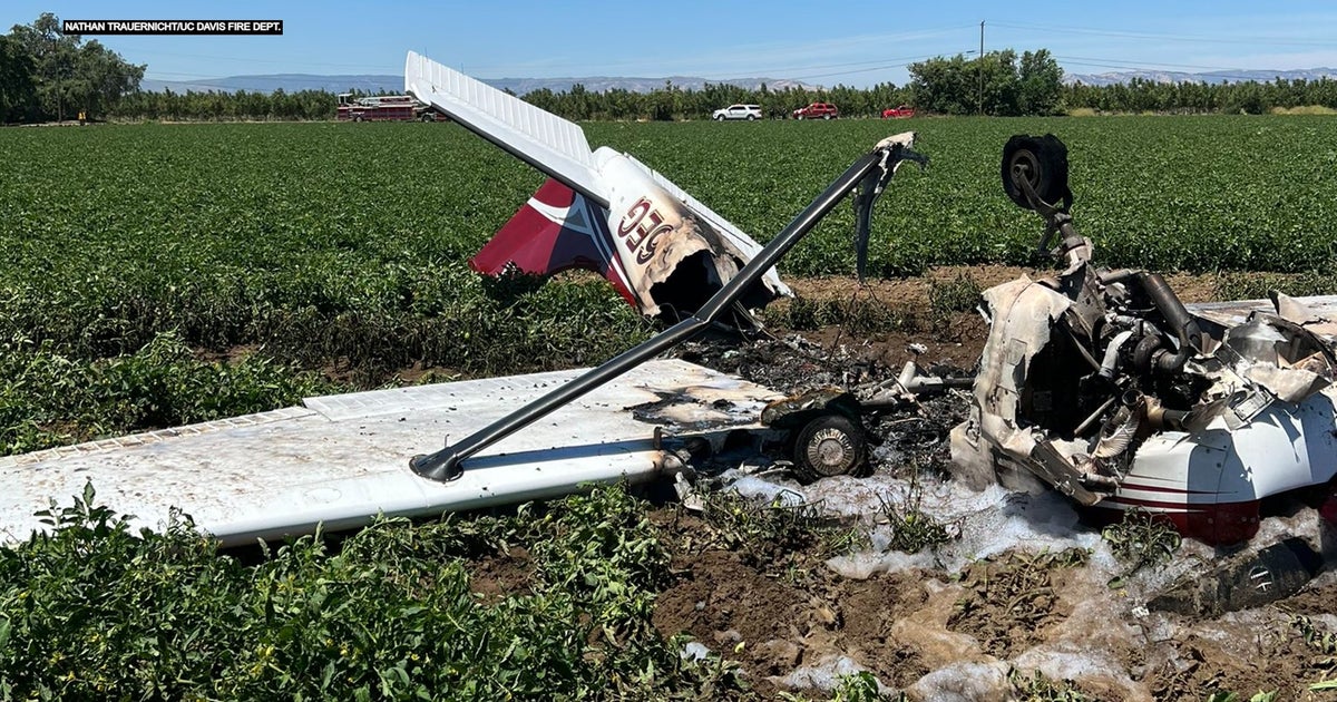 IN PHOTOS Pilot Walks Away With Minor Injuries After Small Plane Crash